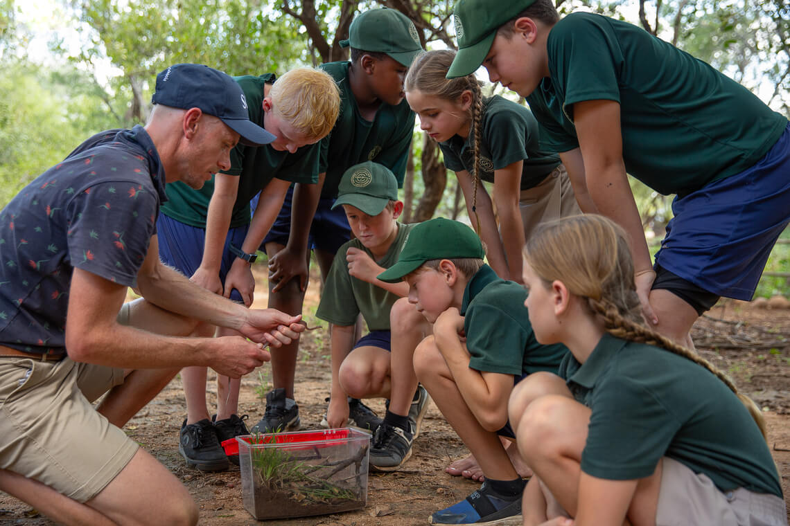 Southern Cross Schools bush lore